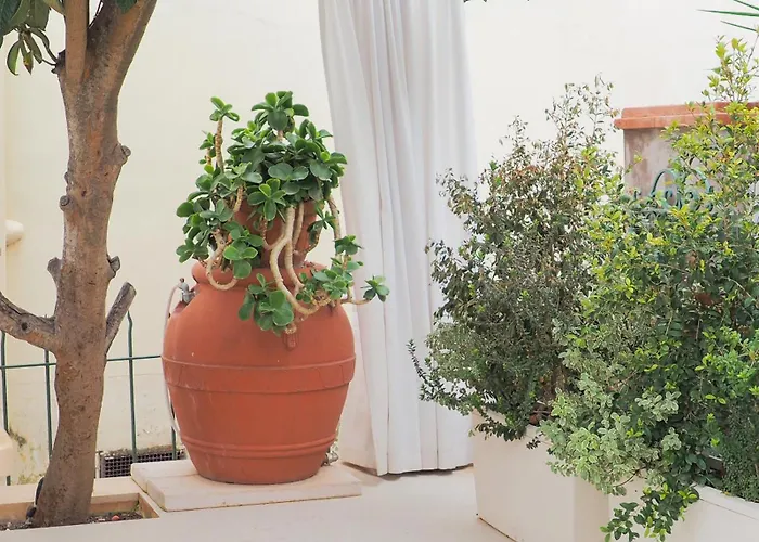 Sopramonte Exclusive Affittacamere 4*